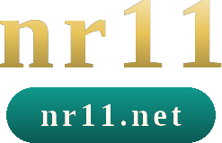 nr11 logo
